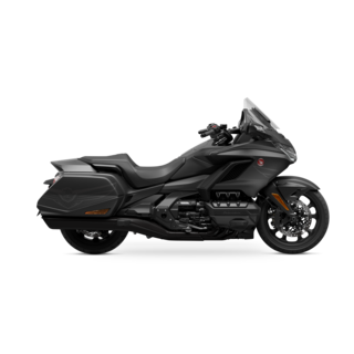 GOLD WING image