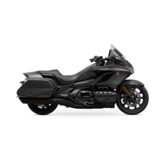 GOLD WING image